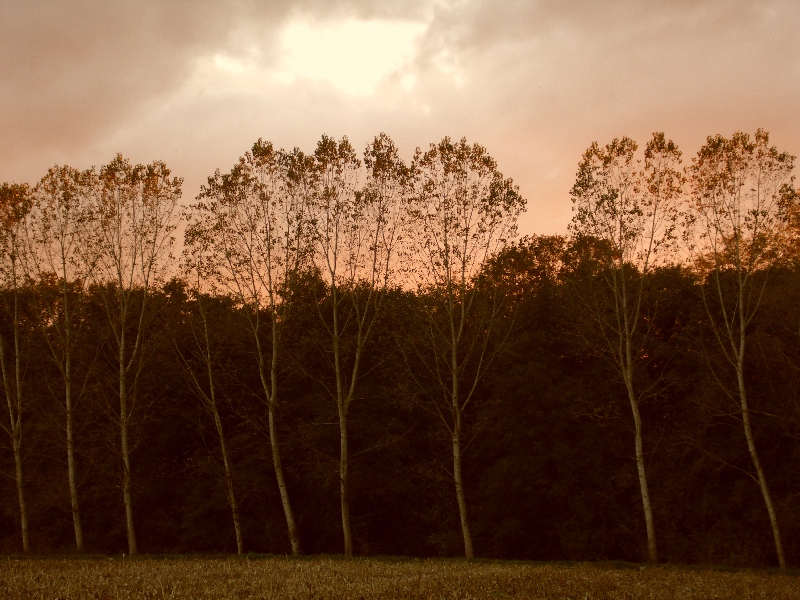 Parco del ticino 1.11.12